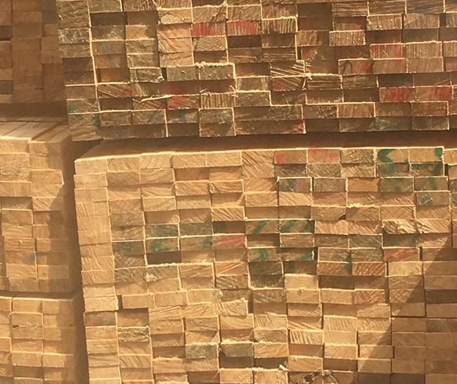 固镇新西兰进口松木